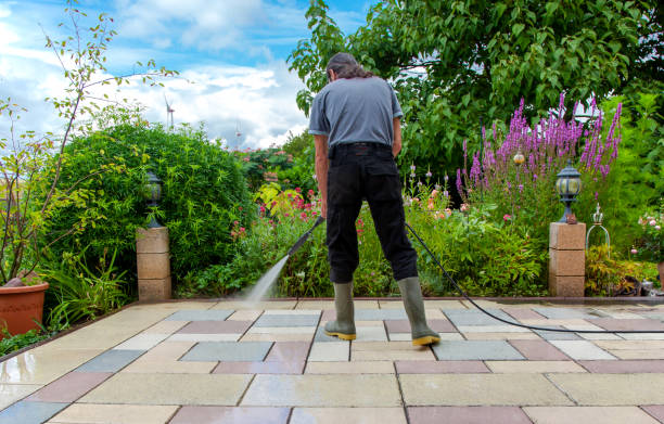 Best Animal Enclosure Cleaning  in Federal Heights, CO